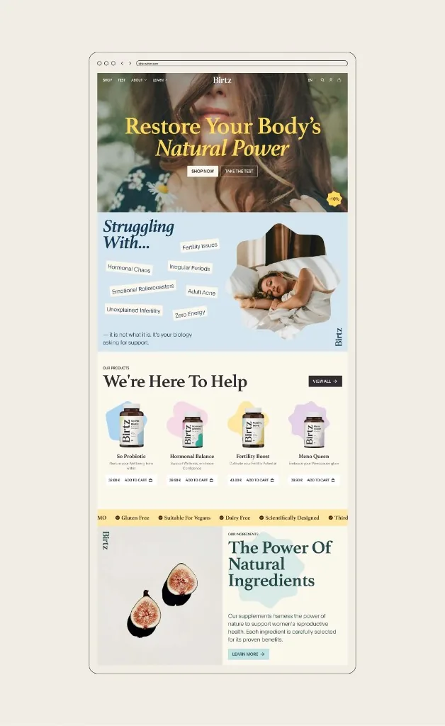 Birtz website homepage design